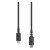 Lewitt Audio CONNECT C2L