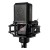 Lewitt Audio RAY