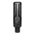 Lewitt Audio RAY