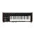 Korg miniKORG 700Sm