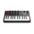 Akai Professional MPK mini Play mk3
