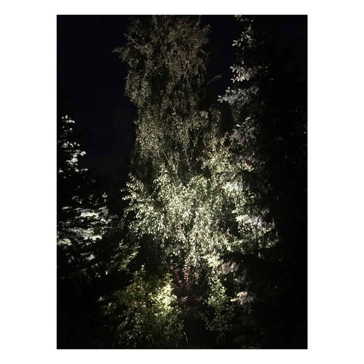 Flash Professional PAR64 LED P430 ALU