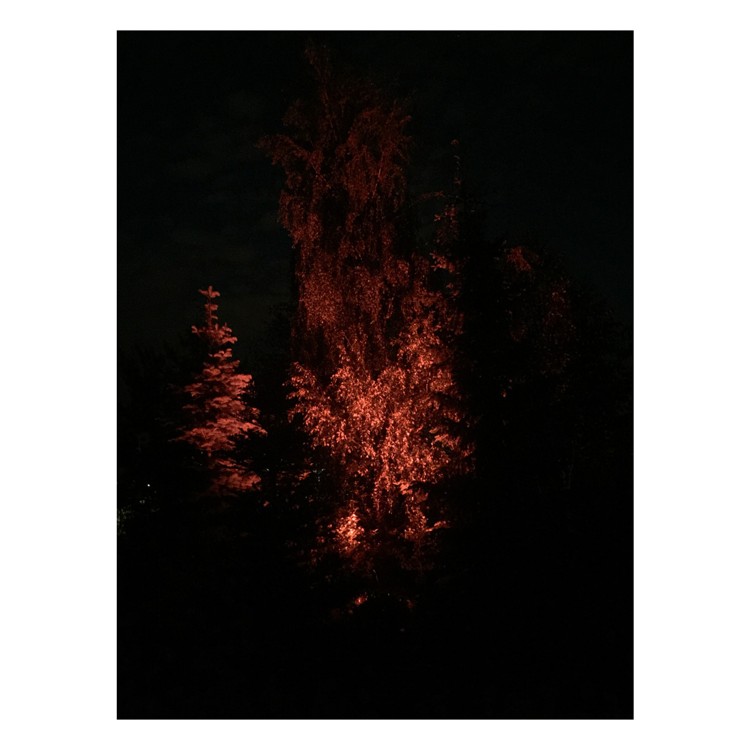 Flash Professional PAR64 LED P430 ALU