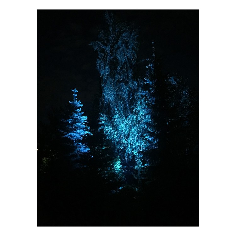 Flash Professional PAR64 LED P430 ALU