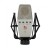 sE Electronics T2