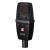 sE Electronics sE4100
