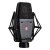 sE Electronics sE4100