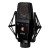 sE Electronics sE4100
