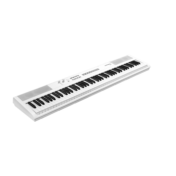 Kurzweil KaS1