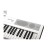Kurzweil KaS1