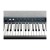 Kurzweil KaP1