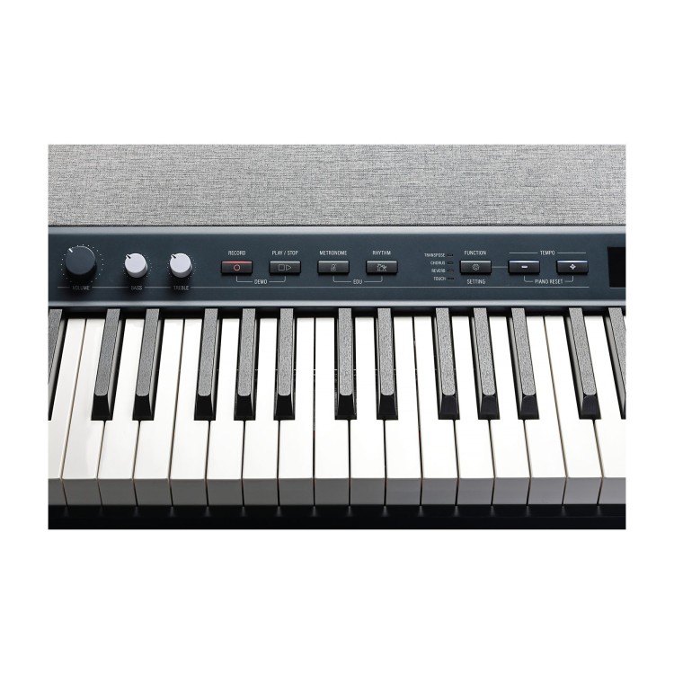 Kurzweil KaP1