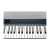 Kurzweil KaP1