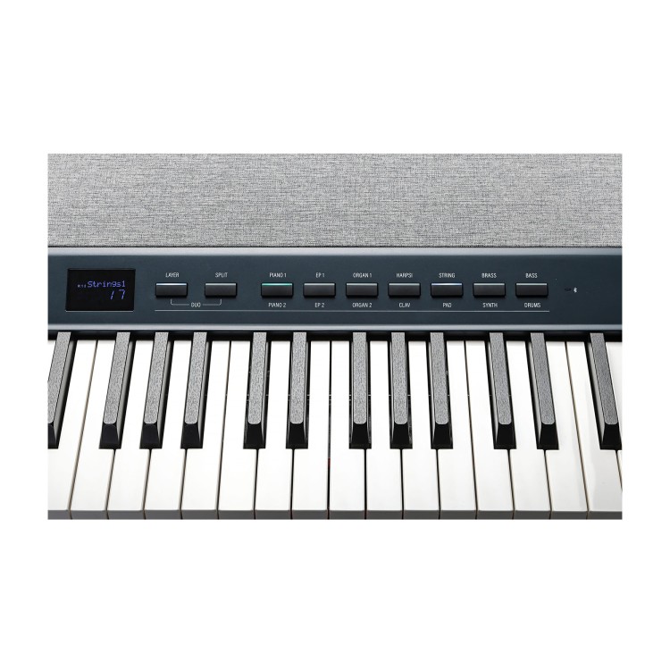 Kurzweil KaP1