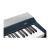 Kurzweil KaP1