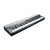 Kurzweil KaP1