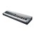 Kurzweil KaP1