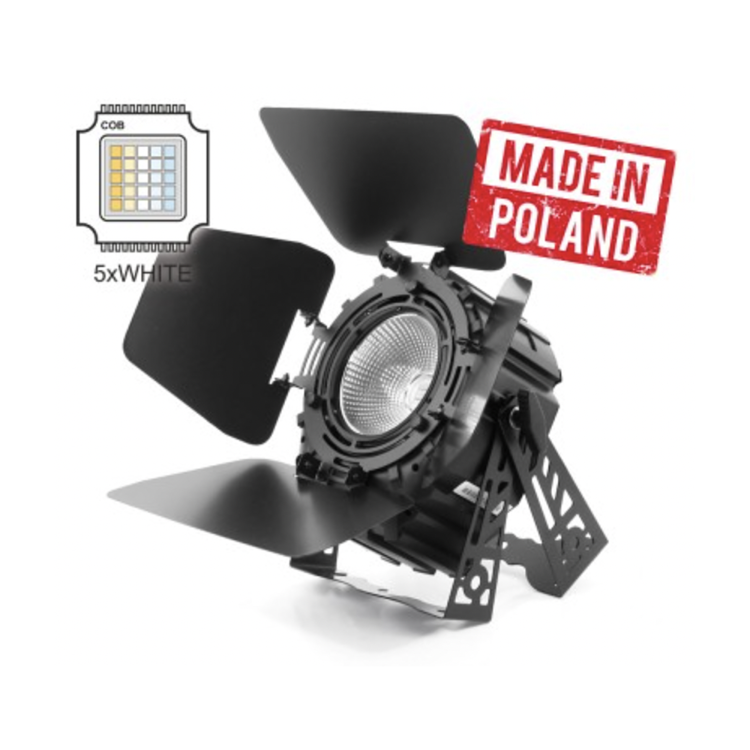 Flash Professional LED PAR 64 250W 5in1 COB WHITE 2000+9000K SHORT