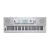 Kurzweil KP110 White