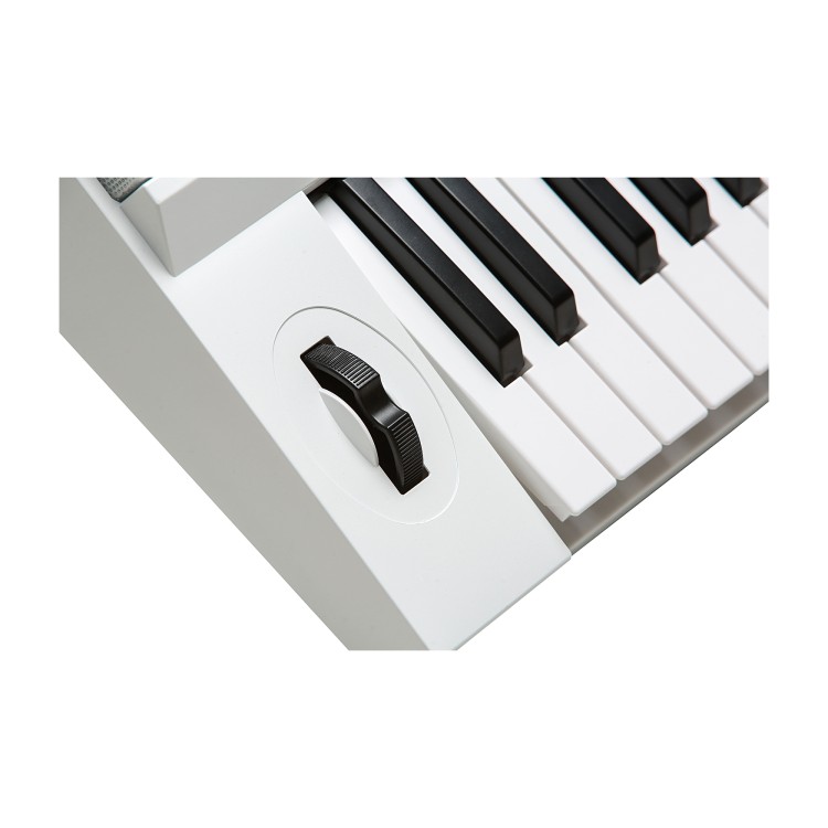 Kurzweil KP110 White