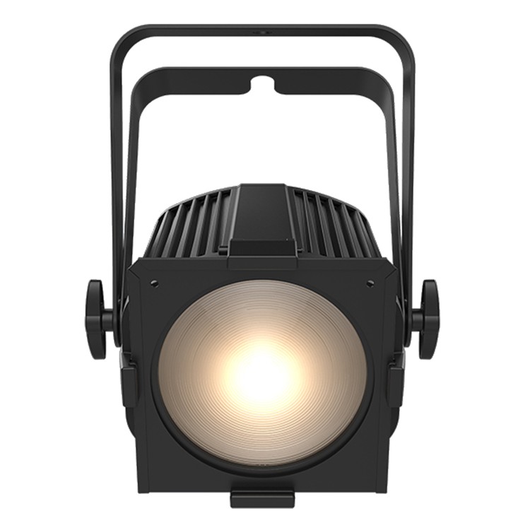 Chauvet DJ EVE P-100 WW