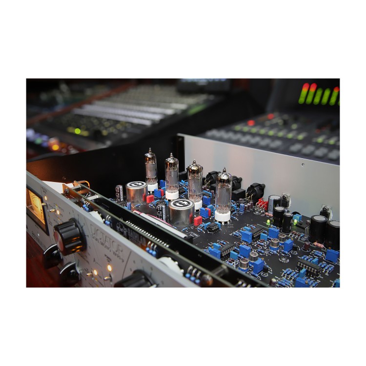 GAINLAB DICTATOR Dual Mono Vari-u Compressor