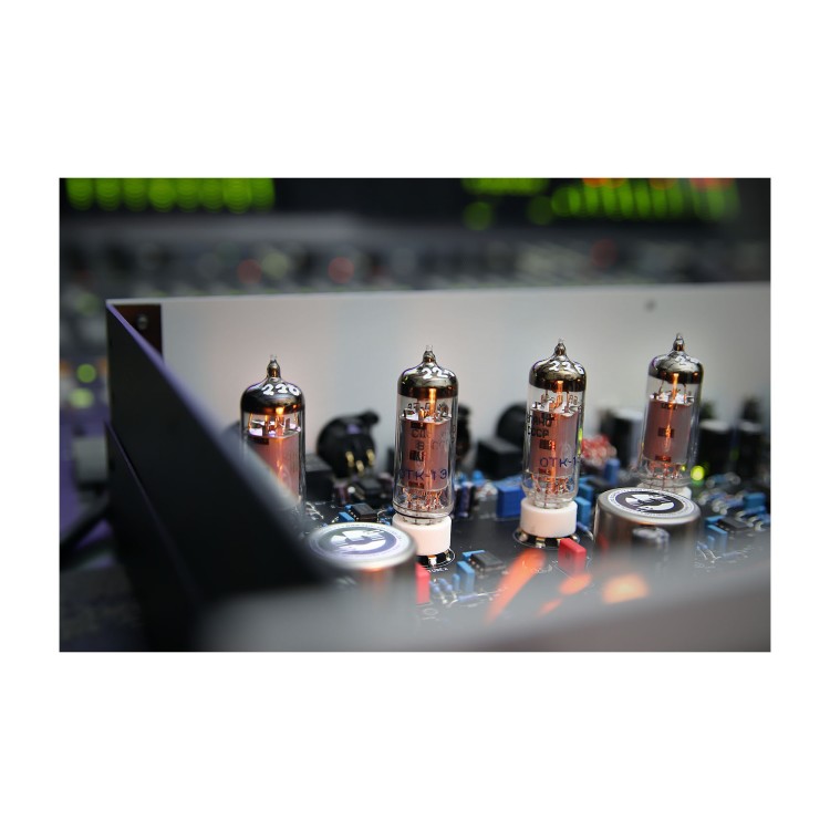 GAINLAB DICTATOR Dual Mono Vari-u Compressor