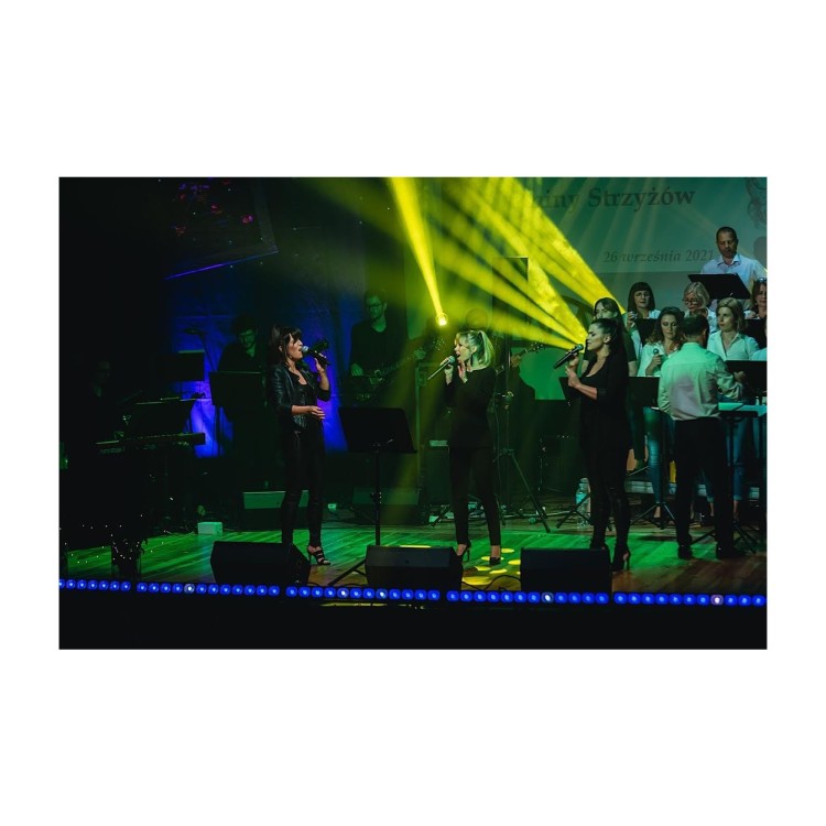 Flash Professional LED WASHER 12x30W 4w1 COB 12 SEKCJI - SHORT Mk2