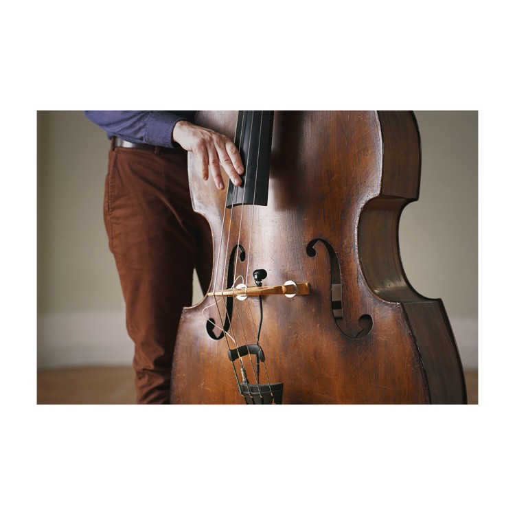 Neumann MC 3 Strings Clip Double Bass