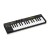 behringer swing
