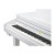 kurzweil kag100 wh