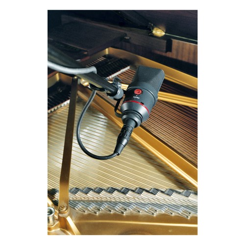 Neumann TLM 170 R MT