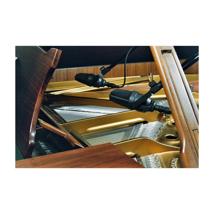 Neumann TLM 170 R MT