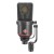 Neumann TLM 170 R MT