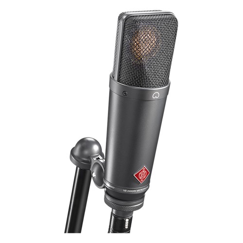 Neumann TLM 193 angle
