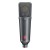 Neumann TLM 193