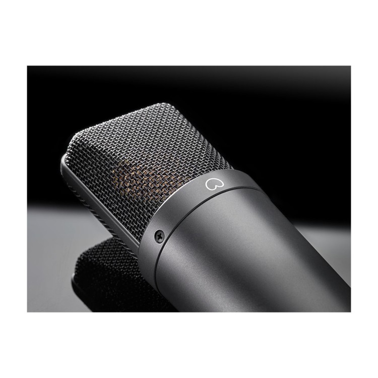 Neumann TLM 193