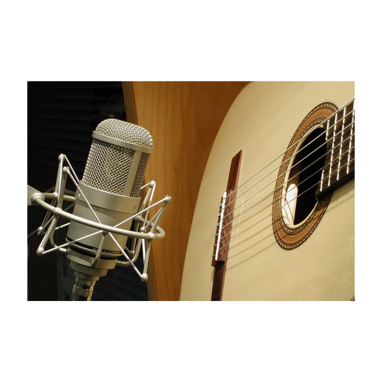 Neumann M 147 Tube