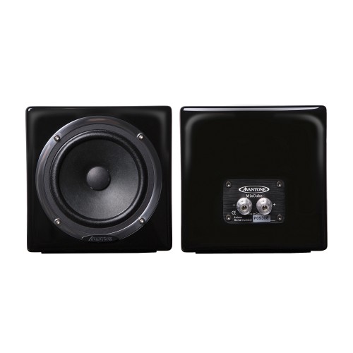 Avantone Mixcube Passive Black Pair
