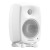 Genelec 8020 DWM
