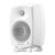 Genelec 8020 DWM