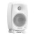 Genelec 8020 DWM