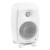 Genelec 8020 DWM