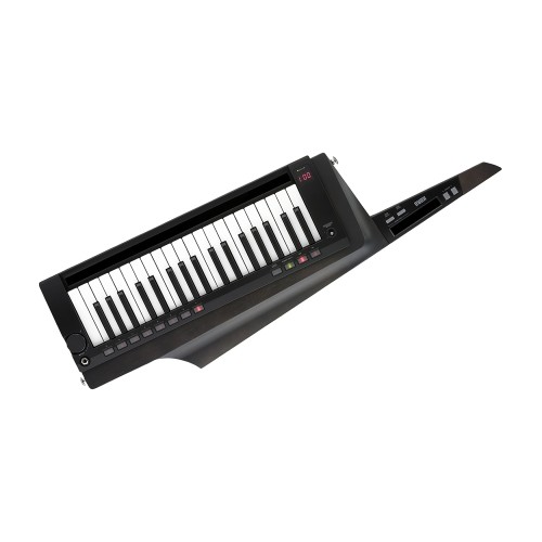Korg RK-100S 2 BK