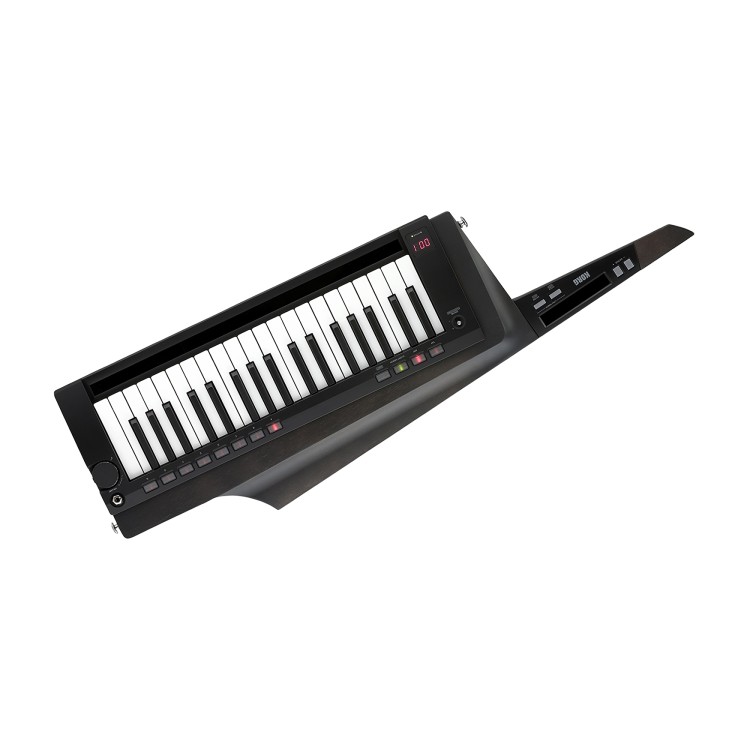 Korg RK-100S 2 BK