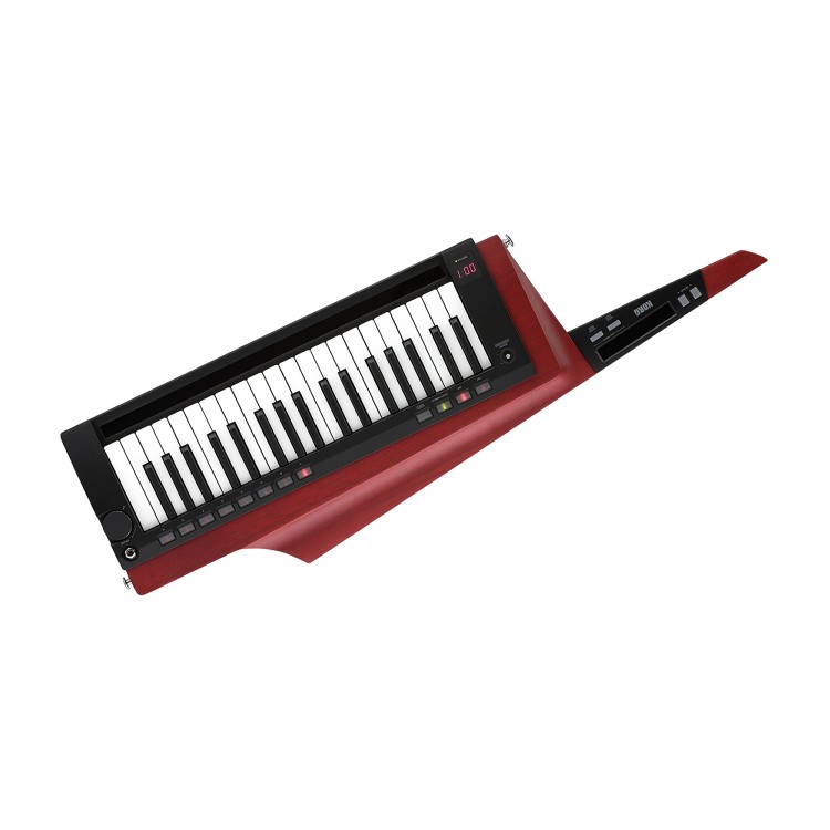 Korg RK-100S 2 RD