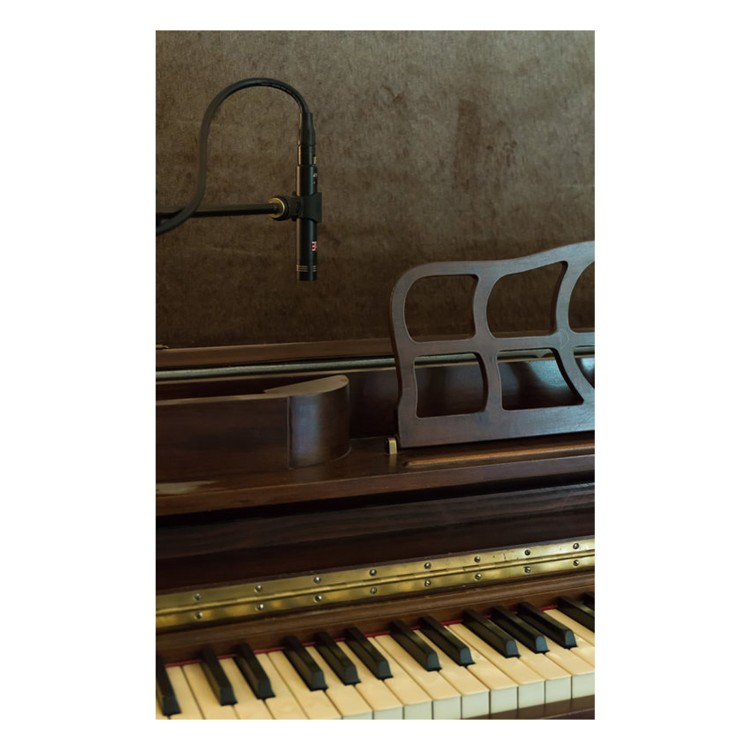 sE Electronics sE7 (Para)