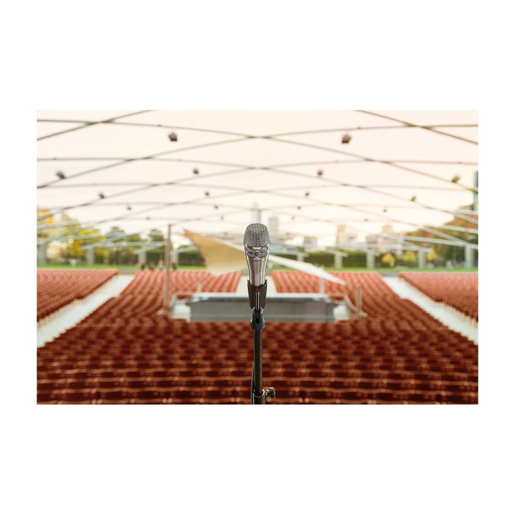 Shure KSM8 Silver