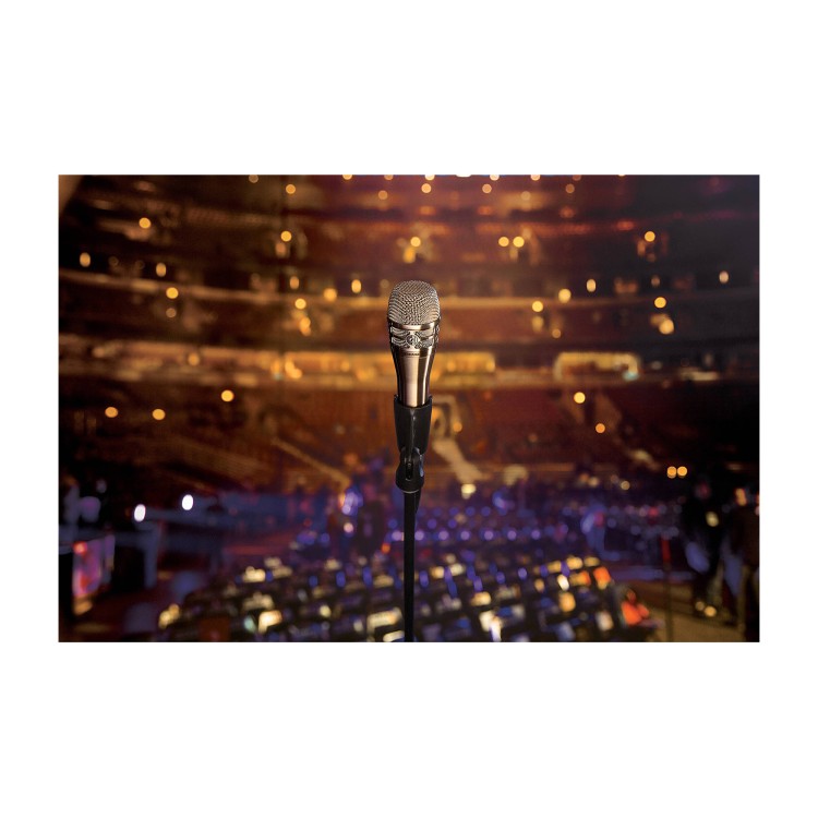 Shure KSM8 Silver