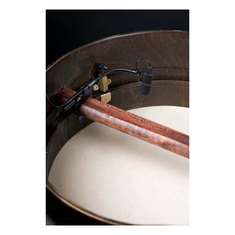 DPA d:vote 4099 Guitar